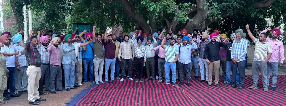 Electricity employees took out a protest rally in Kharar.